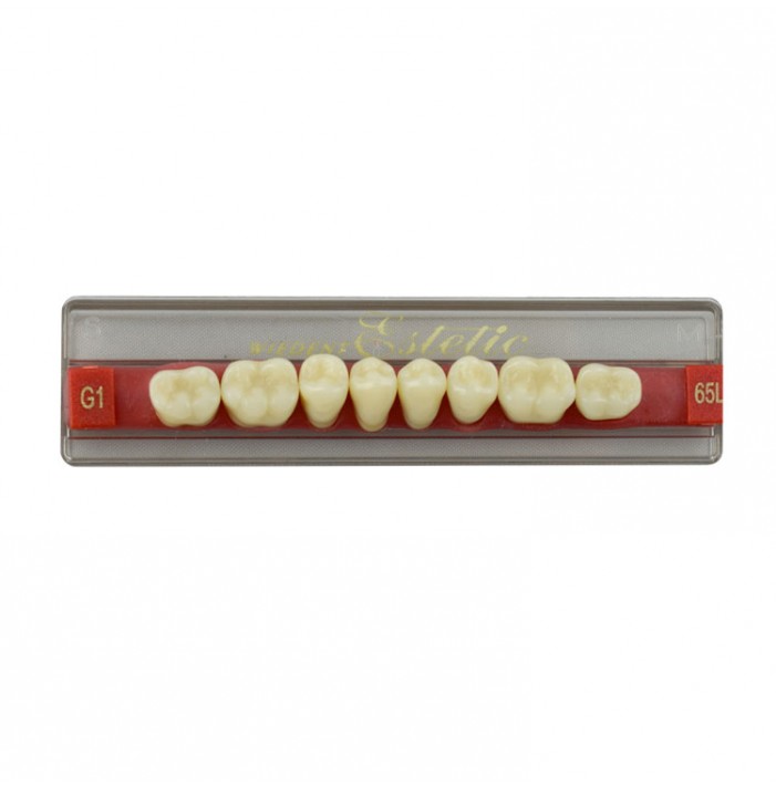 Estetic zęby akrylowe boczne dolne 65, kolor G1, 8 szt.