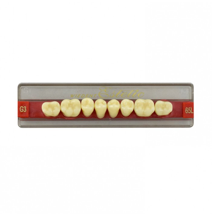 Estetic zęby akrylowe boczne dolne 65, kolor G3, 8 szt.