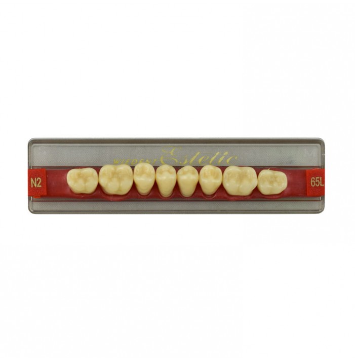 Estetic zęby akrylowe boczne dolne 65, kolor N2, 8 szt.