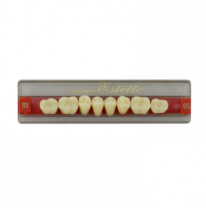 Estetic zęby akrylowe boczne dolne 65, kolor R1, 8 szt.
