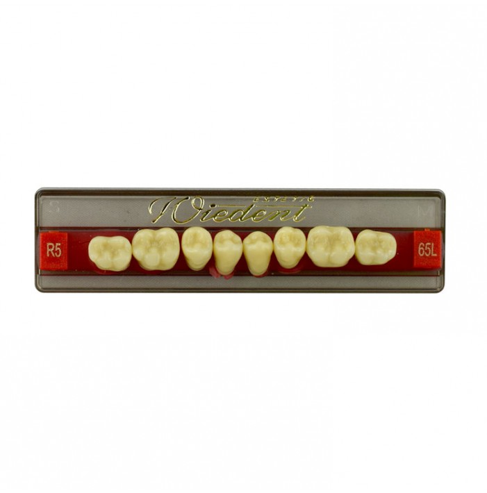 Estetic zęby akrylowe boczne dolne 65, kolor R5, 8 szt.