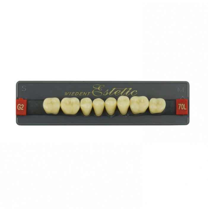 Estetic zęby akrylowe boczne dolne 70, kolor G2, 8 szt.