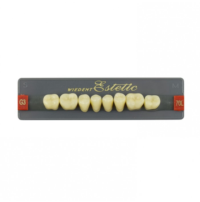 Estetic zęby akrylowe boczne dolne 70, kolor G3, 8 szt.