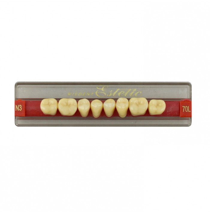 Estetic zęby akrylowe boczne dolne 70, kolor N3, 8 szt.