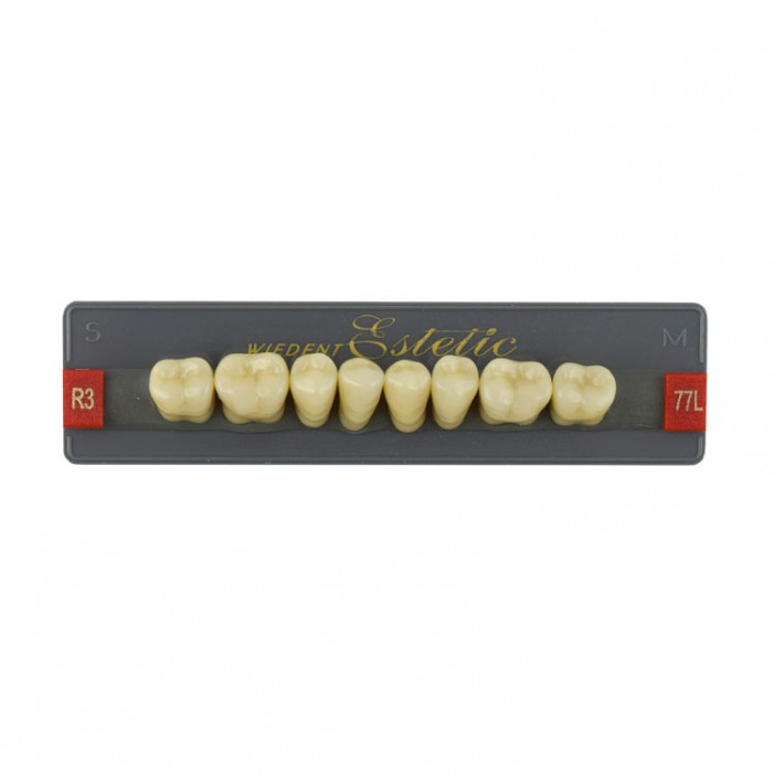Estetic zęby akrylowe boczne dolne 77, kolor R3, 8 szt.