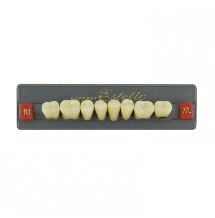Estetic zęby akrylowe boczne dolne 77, kolor R1, 8 szt.