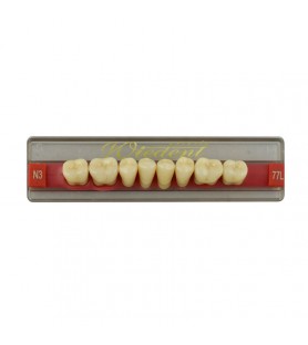 Estetic zęby akrylowe boczne dolne 77, kolor N3, 8 szt.