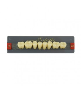 Estetic zęby akrylowe boczne dolne 77, kolor G3, 8 szt.