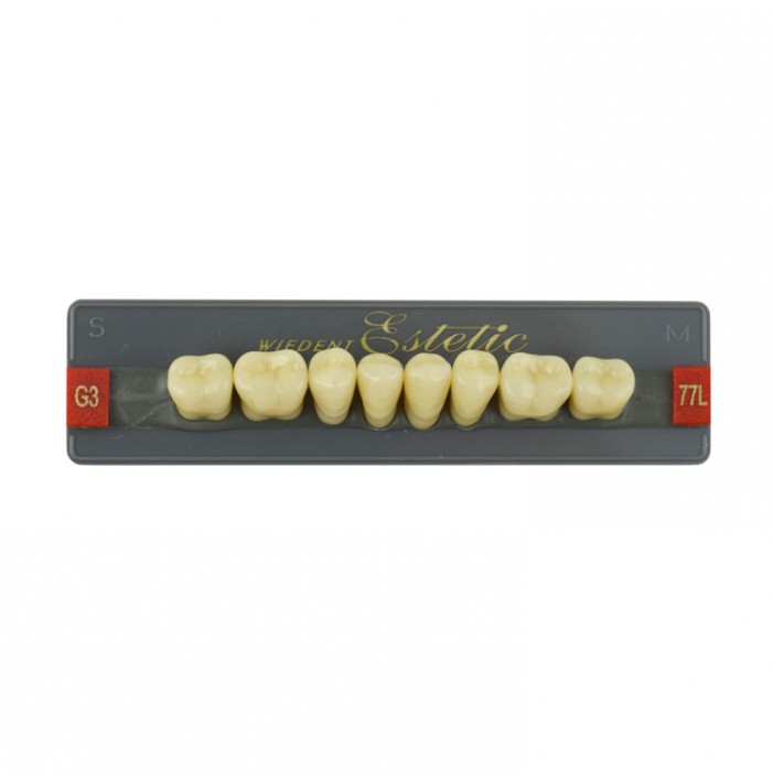 Estetic zęby akrylowe boczne dolne 77, kolor G3, 8 szt.