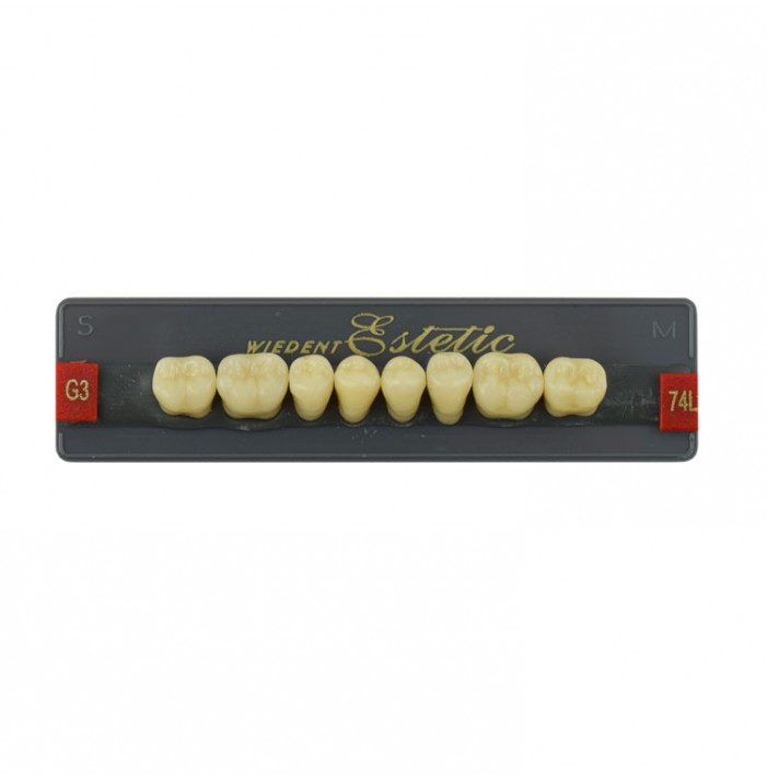 Estetic zęby akrylowe boczne dolne 74, kolor G3, 8 szt.