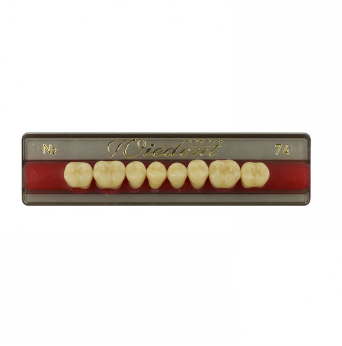 Estetic zęby akrylowe boczne dolne 74, kolor N2, 8 szt.