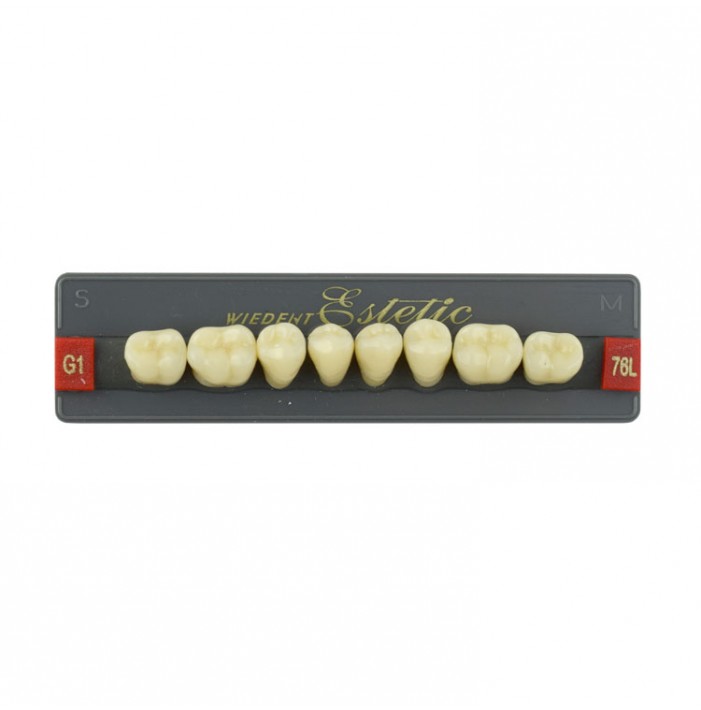 Estetic zęby akrylowe boczne dolne 76, kolor G1, 8 szt.