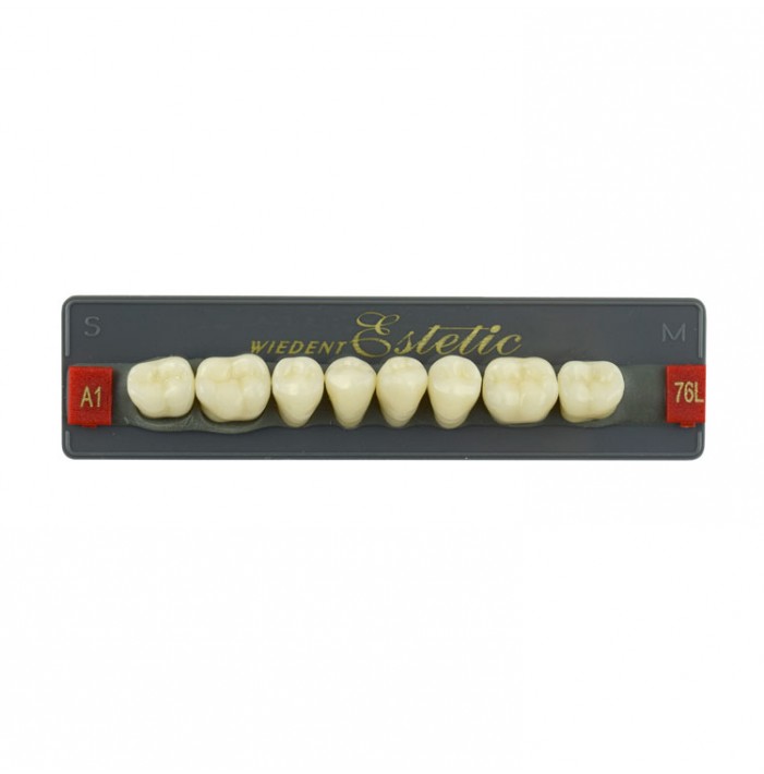 Estetic zęby akrylowe boczne dolne 76, kolor A1, 8 szt.