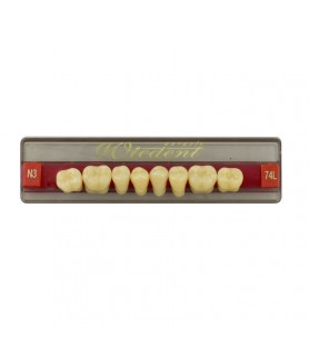 Estetic zęby akrylowe boczne dolne 74, kolor N3, 8 szt.