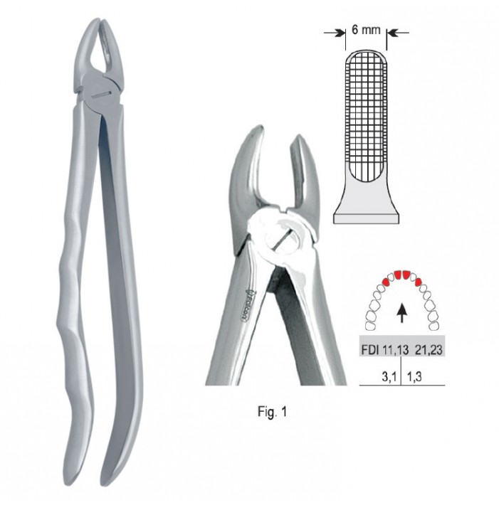 Extracting forceps with anatomical handle fig. 1
