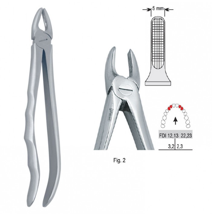 Extracting forceps with anatomical handle fig. 2