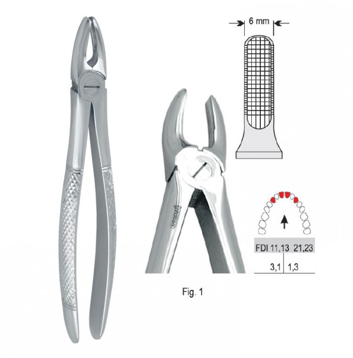 Extracting forceps European pattern fig. 1