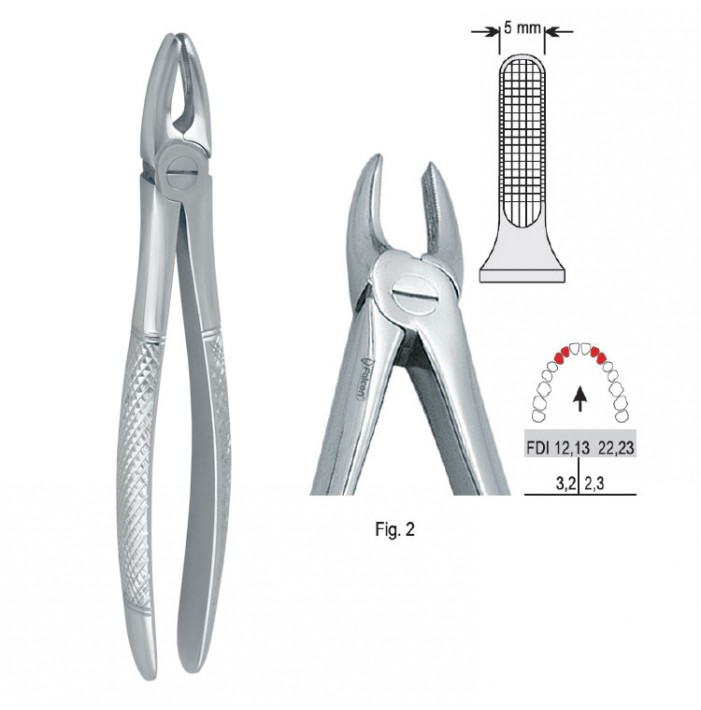Extracting forceps European pattern fig. 2