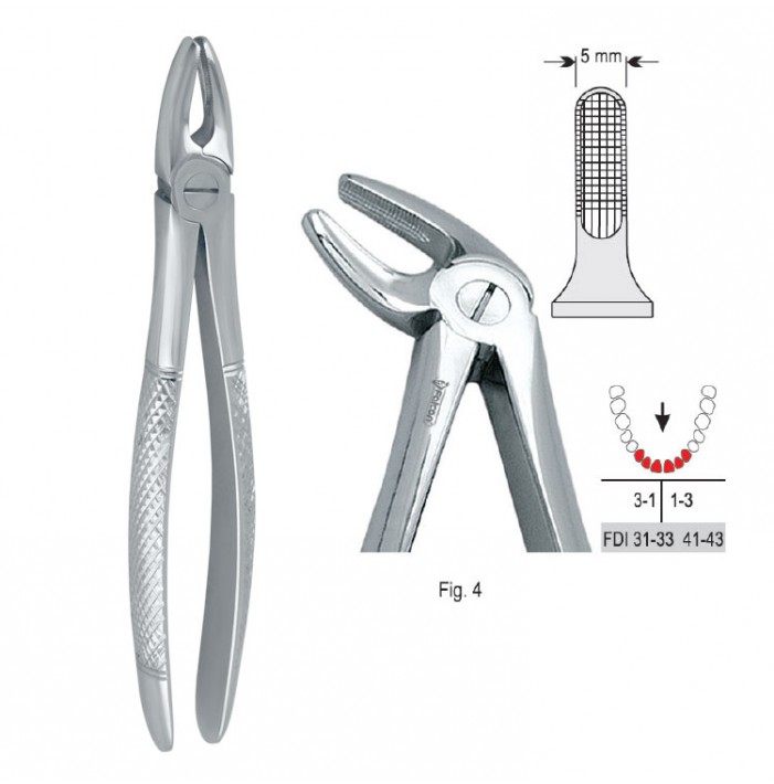 Extracting forceps European pattern fig. 4