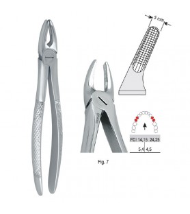 Extracting forceps European pattern fig. 7