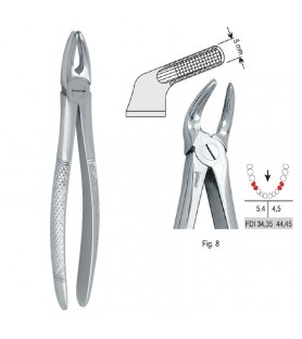 Extracting forceps European pattern fig. 8