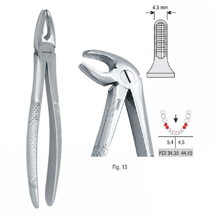 Extracting forceps European pattern fig. 13