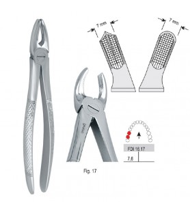Extracting forceps European pattern fig. 17