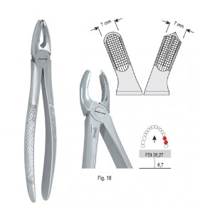Extracting forceps European pattern fig. 18