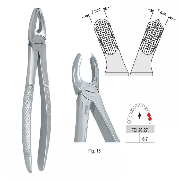 Extracting forceps European pattern fig. 18