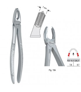 Extracting forceps European pattern fig. 18A