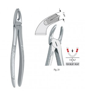 Extracting forceps European pattern fig. 21