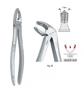 Extracting forceps European pattern fig. 22