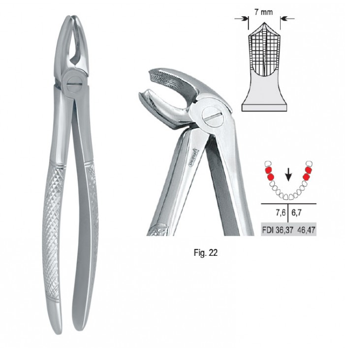 Extracting forceps European pattern fig. 22
