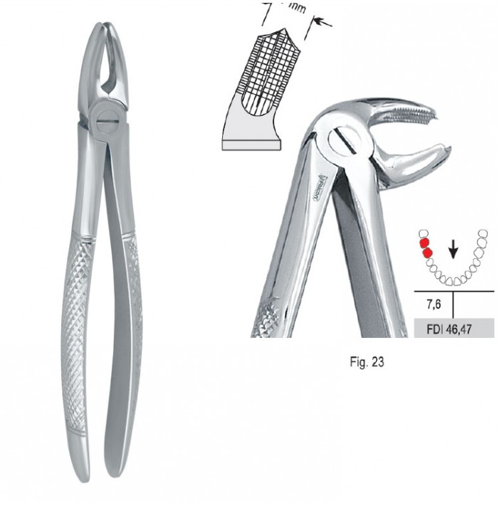 Extracting forceps European pattern fig. 23