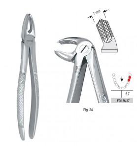 Extracting forceps European pattern fig. 24
