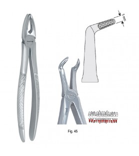 Extracting forceps European pattern fig. 45