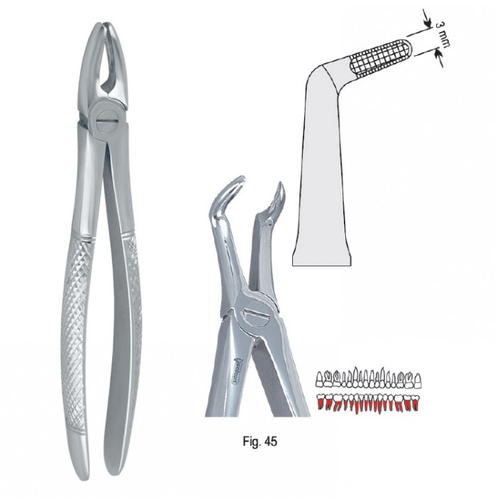 Extracting forceps European pattern fig. 45