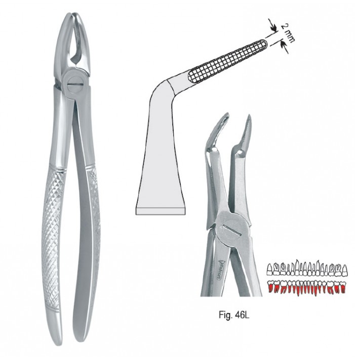 Extracting forceps European pattern fig. 46L
