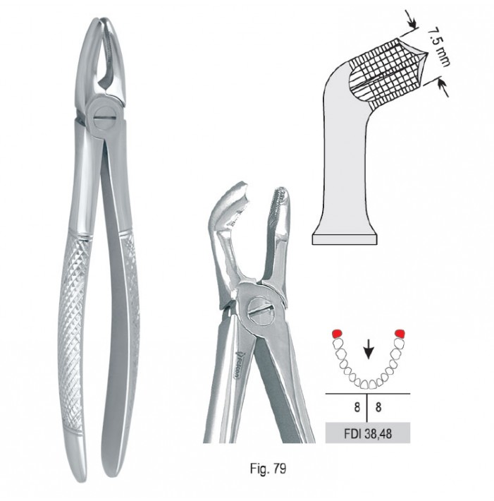 Extracting forceps European pattern fig. 79