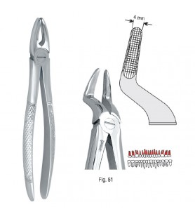 Extracting forceps European pattern fig. 51