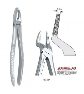 Extracting forceps European pattern fig. 51A