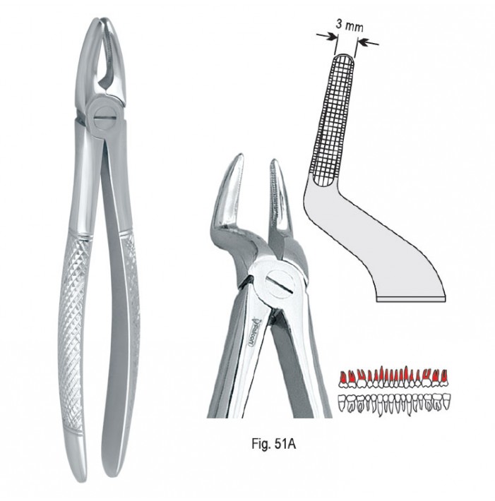 Extracting forceps European pattern fig. 51A
