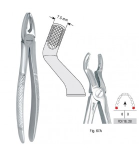 Extracting forceps European pattern fig. 67A