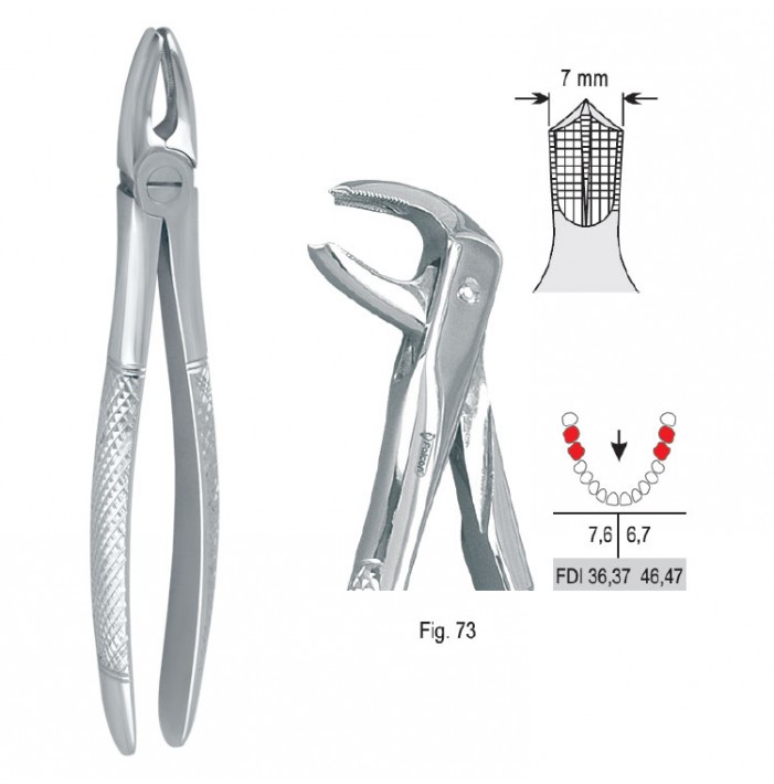 Extracting forceps European pattern fig. 73