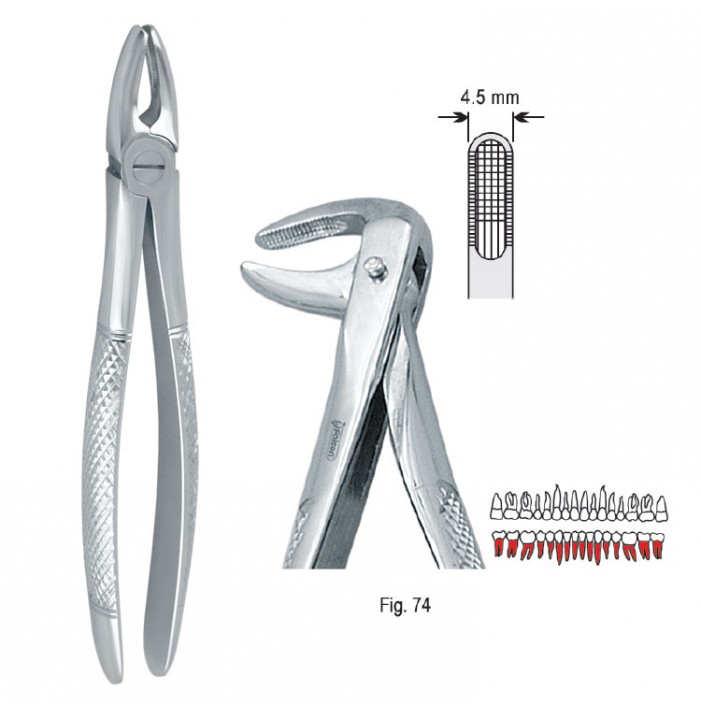 Extracting forceps European pattern fig. 74