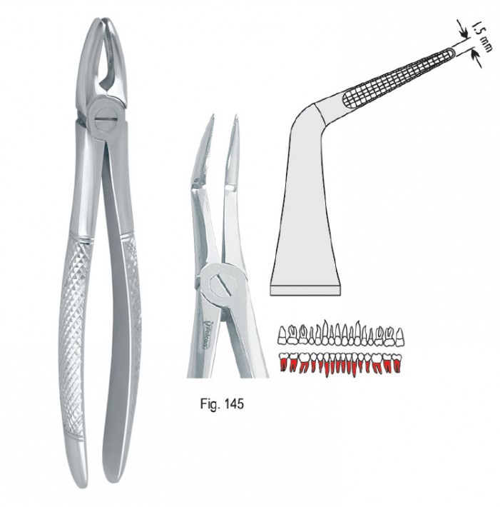 Extracting forceps European pattern fig. 145
