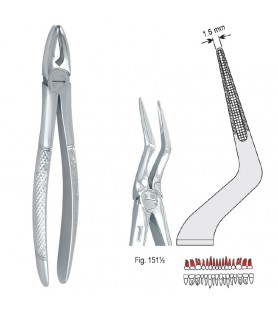 Extracting forceps European pattern fig. 151 1/2