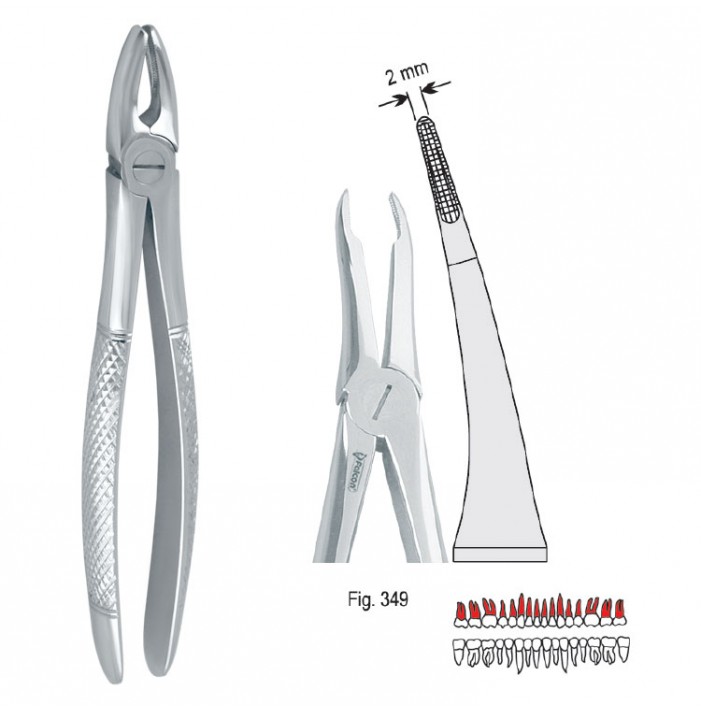 Extracting forceps European pattern fig. 349