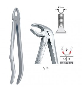 Extracting forceps with anatomical handle fig. 13