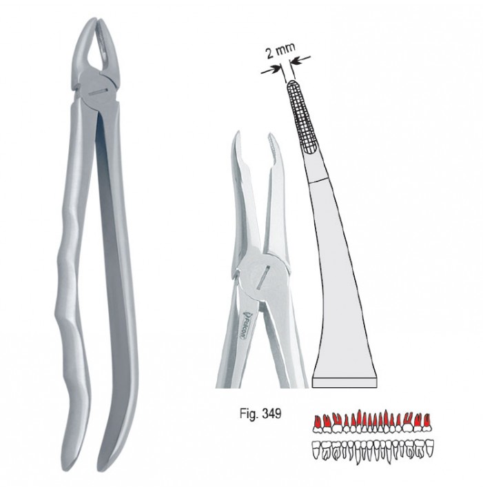 Extracting forceps with anatomical handle fig. 349